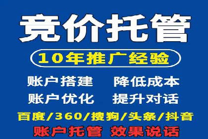 成功案例解析：SEM竞价托管的优化之路
